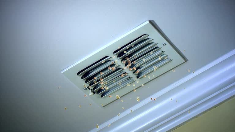 Best HVAC Duct Inspection Services  in Chenoa, IL
