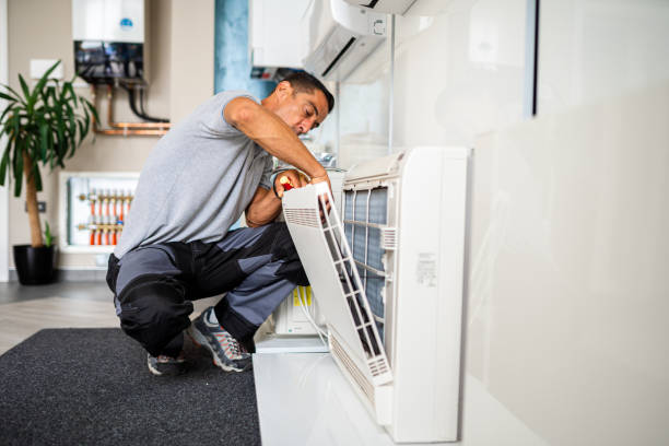 Best Affordable Duct Cleaning Services  in Chenoa, IL