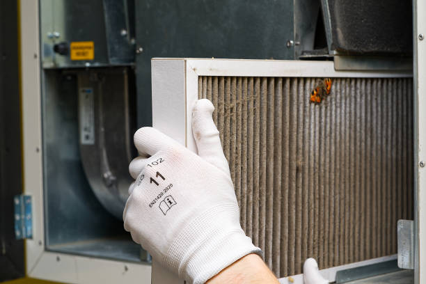 Best Local Air Duct Cleaning Services  in Chenoa, IL