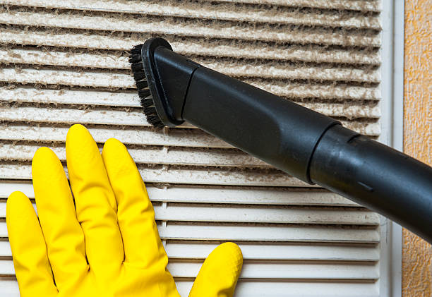 Best Residential Air Duct Cleaning  in Chenoa, IL